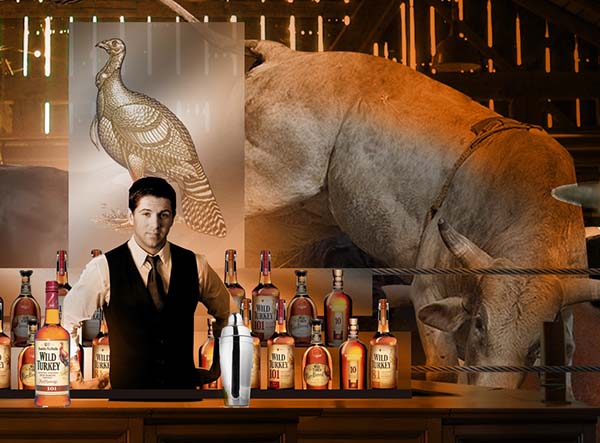 Wild Turkey